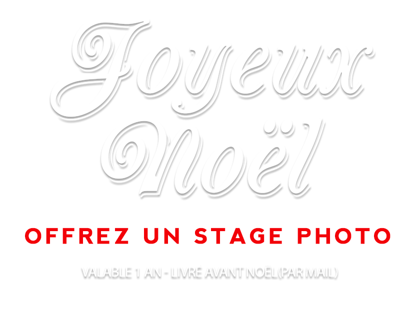 Offrir un stage photo pour noël 